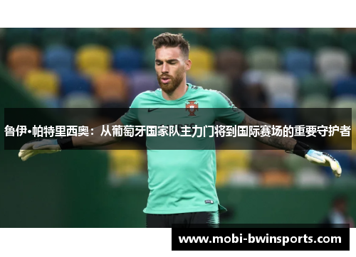 鲁伊·帕特里西奥：从葡萄牙国家队主力门将到国际赛场的重要守护者