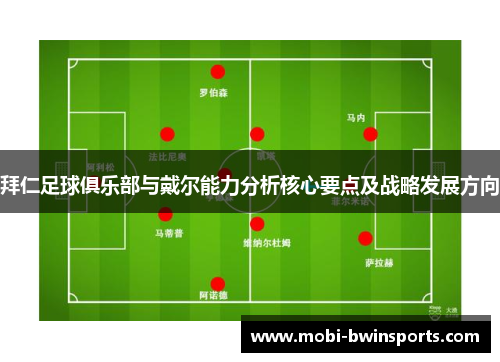 拜仁足球俱乐部与戴尔能力分析核心要点及战略发展方向