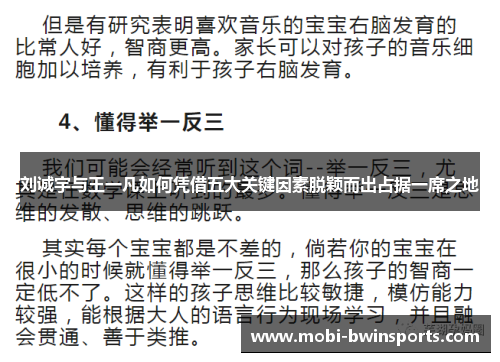 刘诚宇与王一凡如何凭借五大关键因素脱颖而出占据一席之地